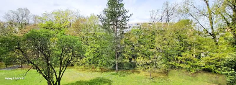 A lush green garden with various trees and shrubs, providing a serene and natural setting.