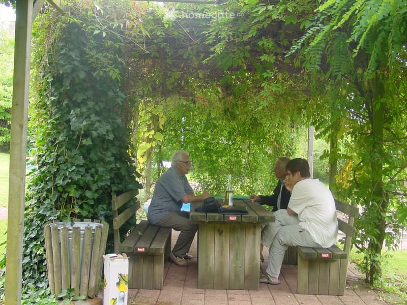 wooden bench, wooden table, people sitting, bottle, box, trash can, green plants