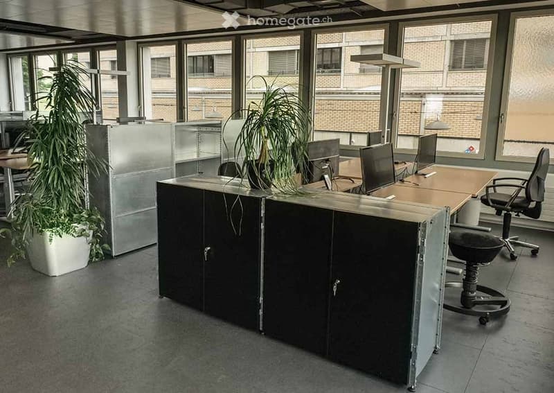 Modern office space with desks, office chairs, cabinets, and potted plants. Large windows provide natural light.