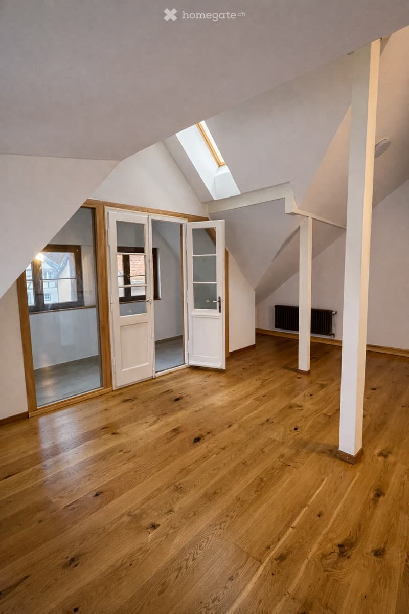 High ceiling, skylight, wooden floor, glass doors, window
