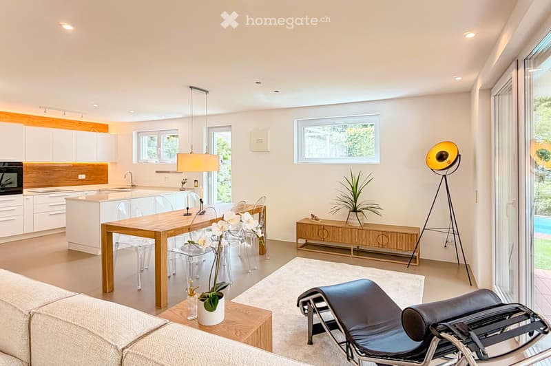 Open-plan living and dining area with a modern kitchen, white cabinets, a wooden dining table with clear chairs, a sofa, a floor lamp, and a potted plant.