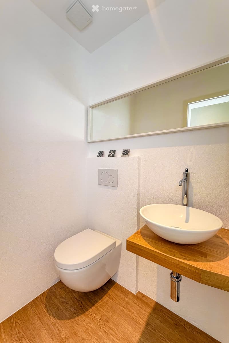 Modern bathroom with a white toilet, a wooden countertop sink, a chrome faucet, and a large mirror above the sink.