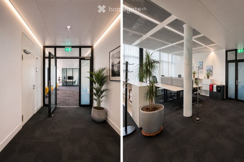 Modern office corridor with glass doors, potted plants, and a clean, minimalist design. The area features a carpeted floor, white walls, and recessed lighting.