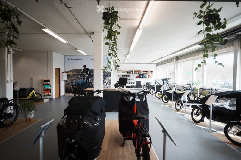 Bright, modern showroom with bicycles on display, large windows, hanging plants, and a table with a screen.