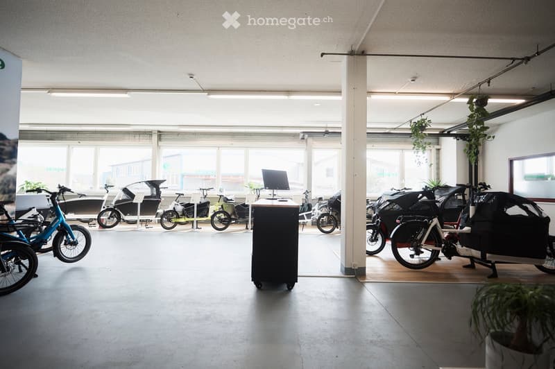 Bright, open showroom with bicycles and tricycles displayed, a central table with a screen, and hanging plants.