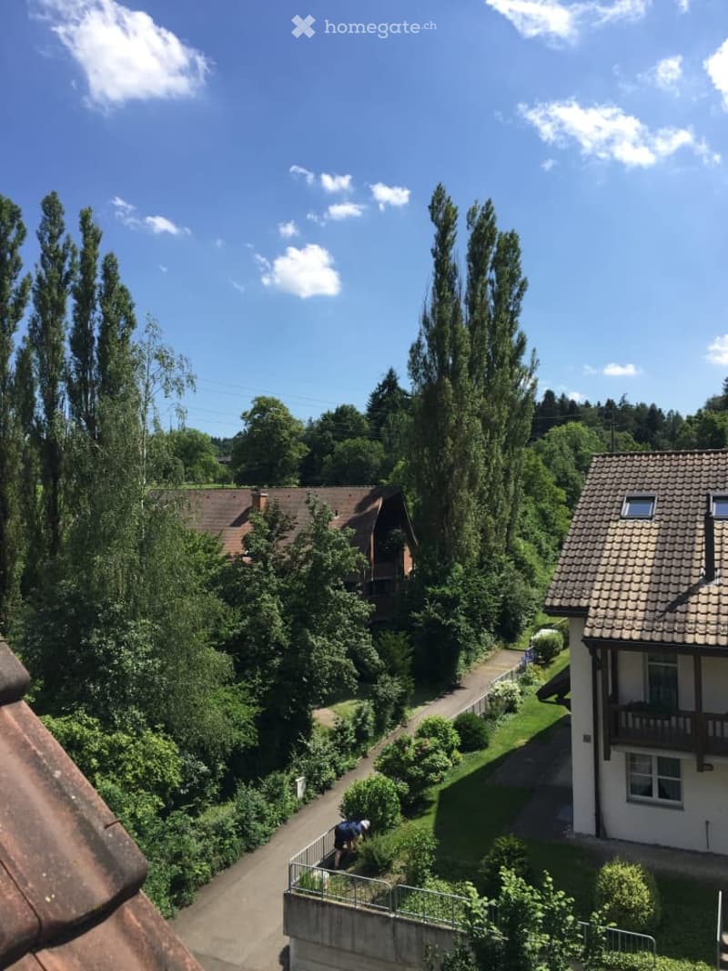 Schöne und grosszügige 4.5 Zimmer Wohnung mit viel Privatsphäre und Weitblick (3)