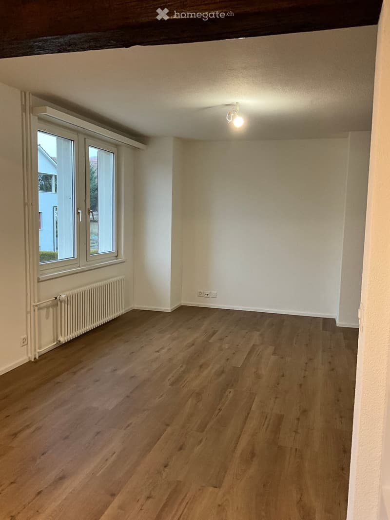 Empty room with wooden flooring, white walls, and a large window with a view of the outside. The room features a radiator and a ceiling light fixture.