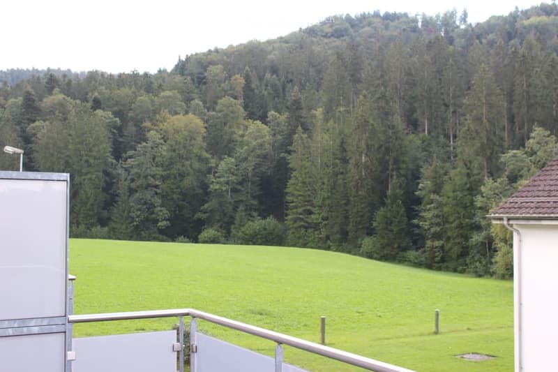 Balcony overlooking a lush green field and forested hills, with a metal railing and a small structure visible on the left.