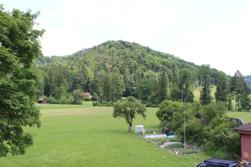 Lush green garden with a variety of trees, a small shed, and a cultivated vegetable patch, set against a backdrop of rolling hills and dense forest.