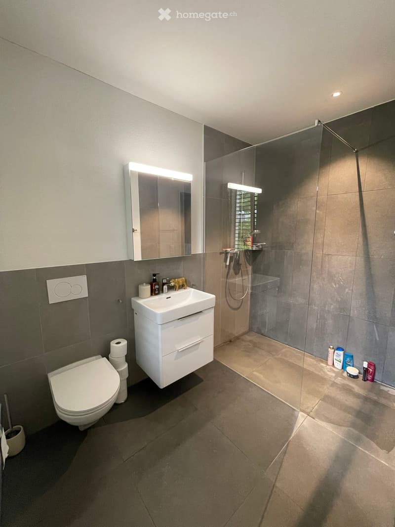 Modern bathroom with a toilet, sink, mirror, and walk-in shower. Grey tiles, white fixtures, and a built-in vanity with storage.
