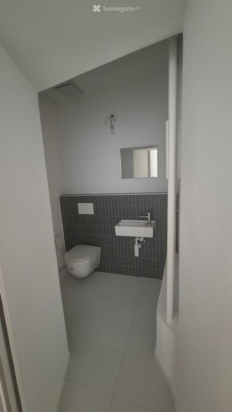 Modern bathroom with a toilet, sink, and mirror. Dark tiled walls and grey tiled floor.
