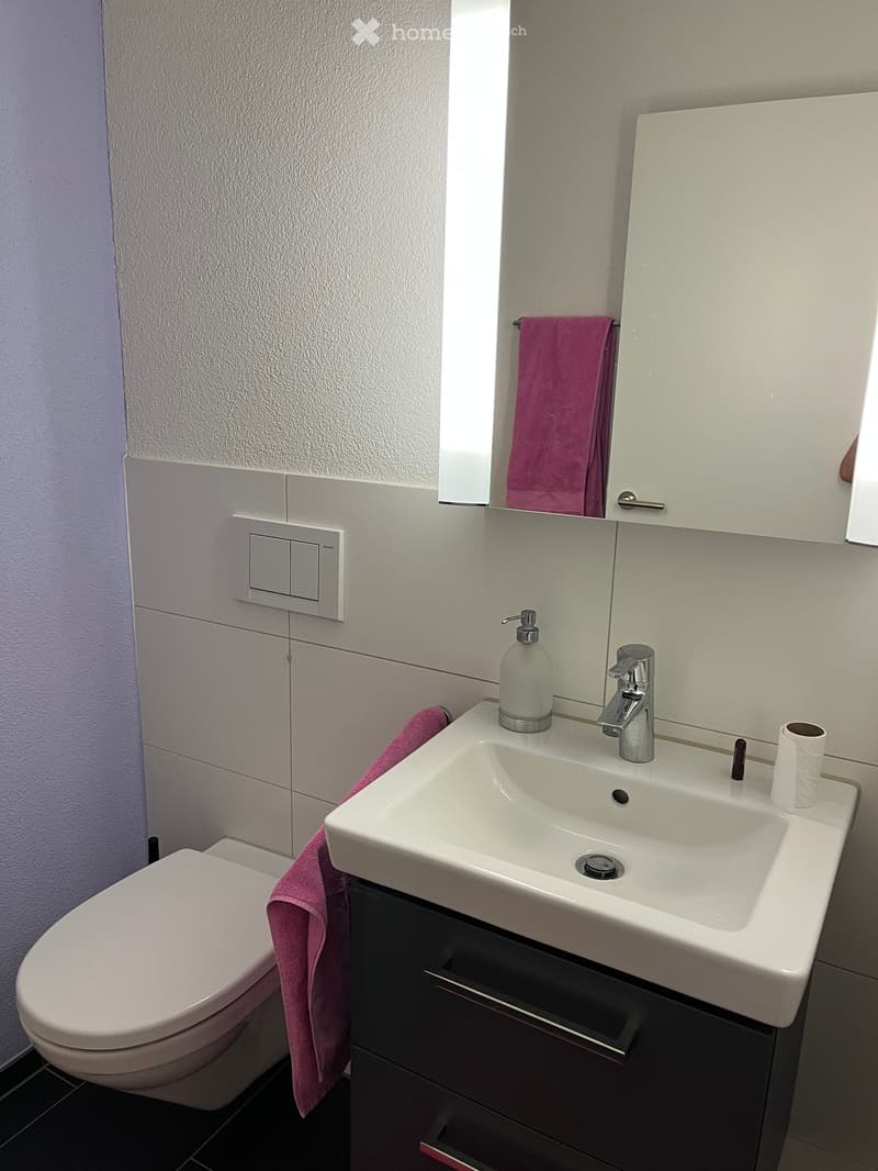 Modern bathroom with a white sink, chrome faucet, toilet, mirror, and pink towel. Includes a soap dispenser and toilet paper holder.