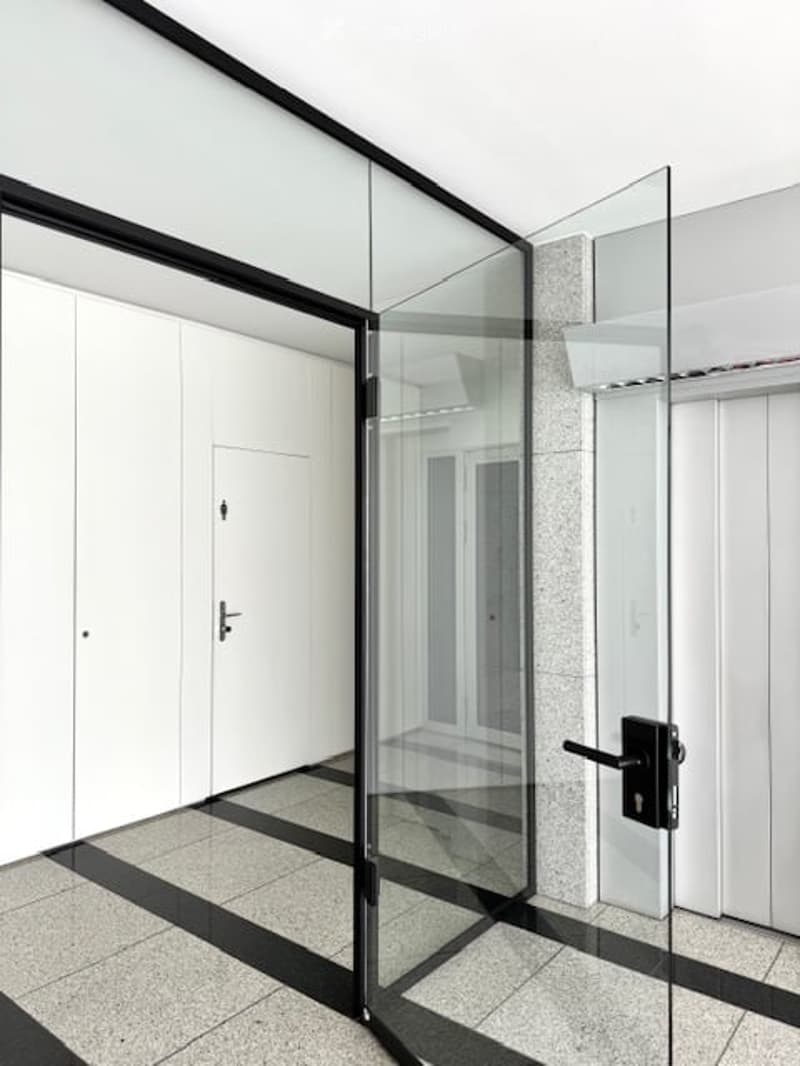 open entrance hall, glass door, marble floor, white walls, black door, modern look