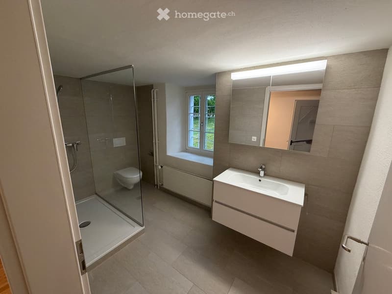 Modern bathroom with a white sink, large mirror, toilet, and glass-enclosed shower. Natural light from a window illuminates the space.