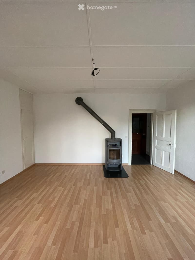 Empty room with wooden flooring, white walls, and a wood-burning stove with a chimney pipe. Two doors are visible, one leading to another room.