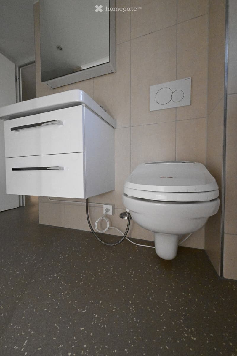 Modern bathroom with a white toilet, a white sink with two drawers, and a mirror above it. The floor is dark with a speckled pattern.