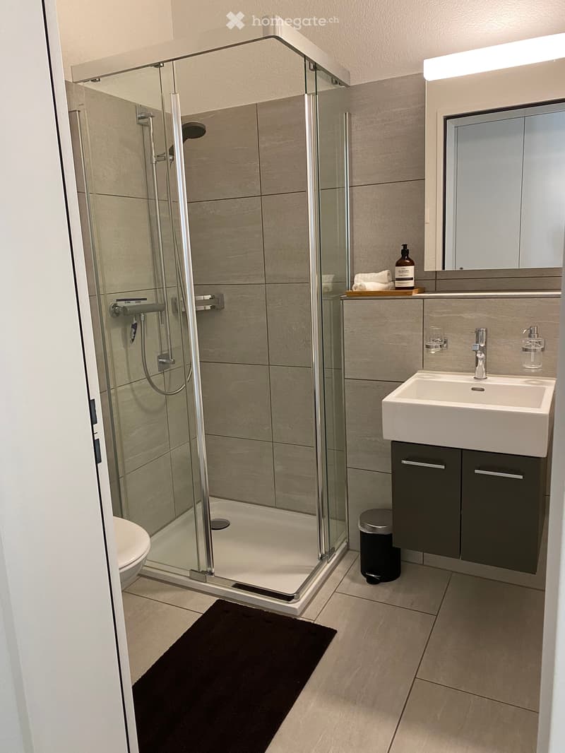 3.5-Zimmer-Wohnung am Bahnhof Wallisellen zu vermieten (4)
