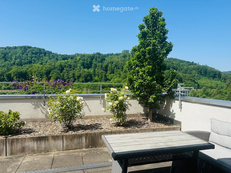 A rooftop terrace with a wooden table, wicker chairs, and several potted plants, including a large tree and flowering shrubs, overlooking a lush green landscape.