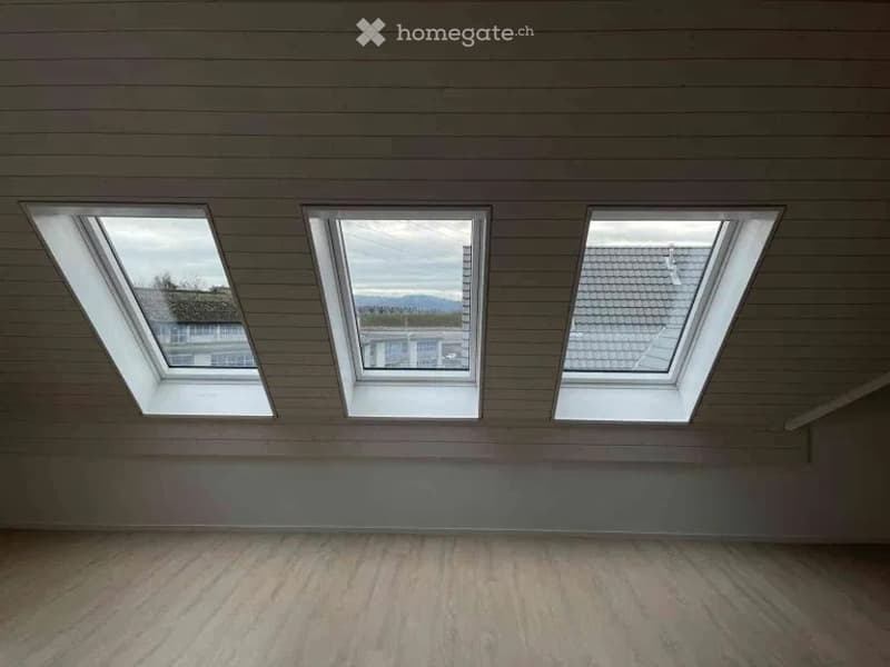 Empty attic space with wooden walls and floor, three skylights offering natural light and a view of the outside.