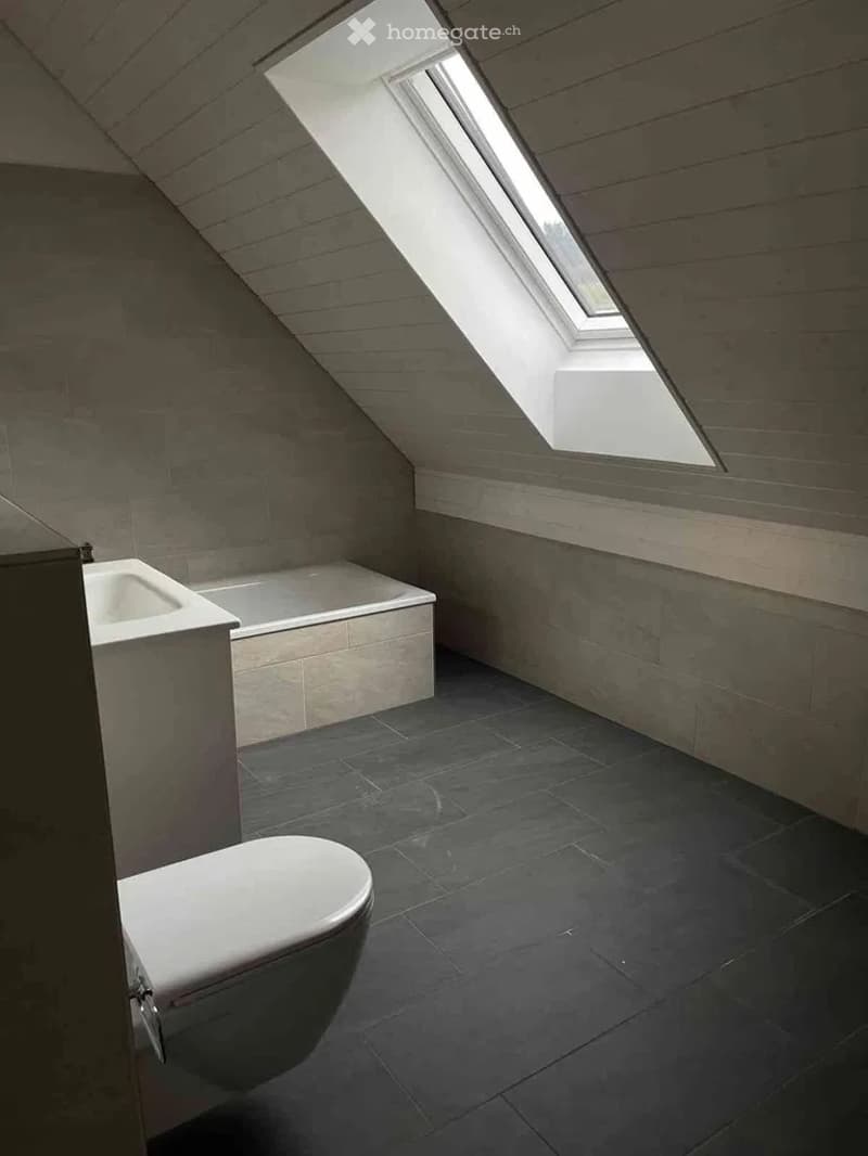 Modern bathroom with dark tiled floor, white toilet, bathtub, and sink. Features a skylight window allowing natural light to enter.