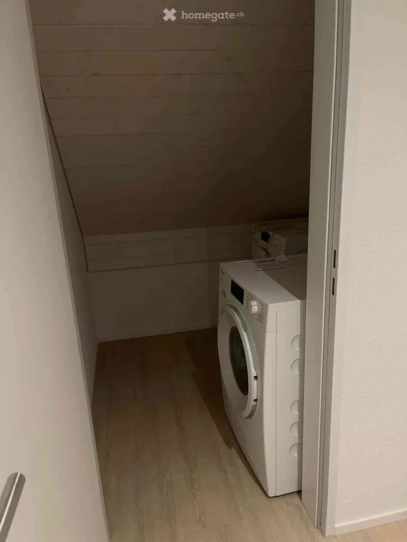 A narrow hallway with a private washing machine placed against the wall, light wooden flooring, and white walls.