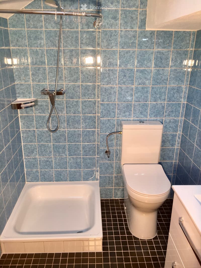 Bathroom with blue tiled walls, a white bathtub, a toilet, and a chrome showerhead with a handheld sprayer.