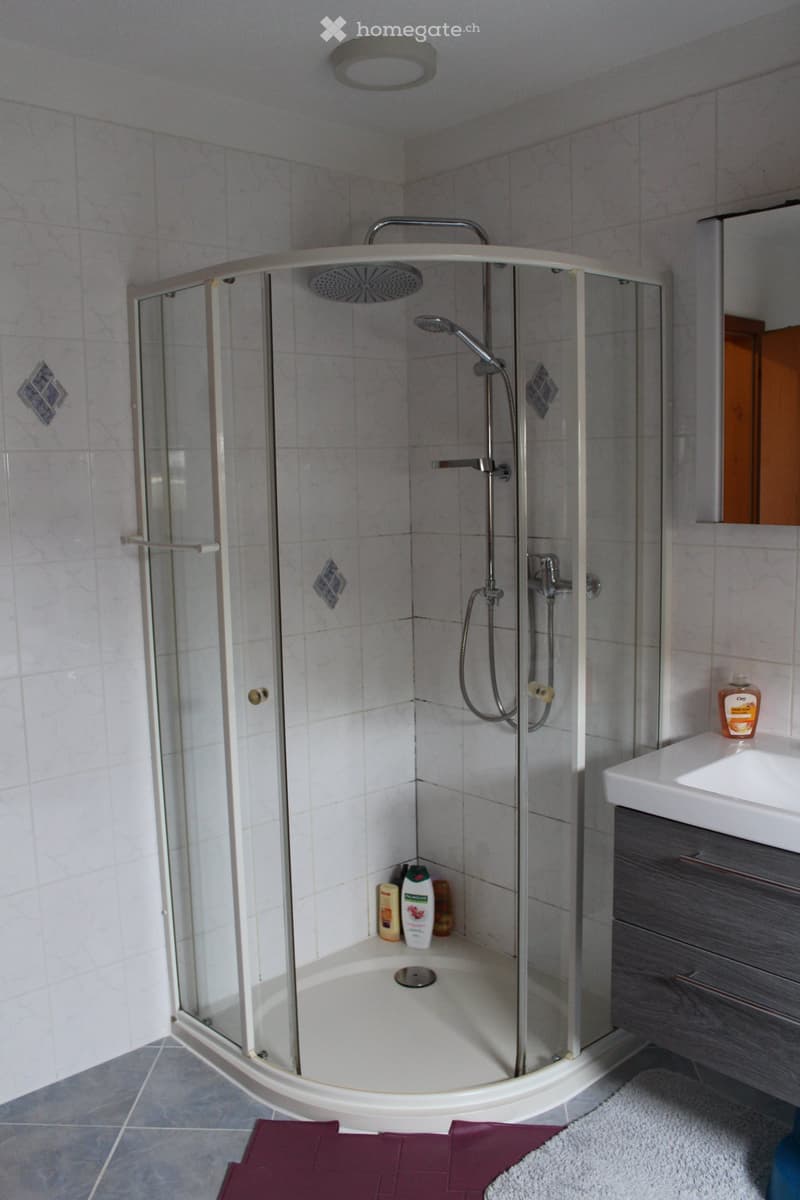 shower stall, white tiles, white sink, mirror, wooden cabinet, shower gel, shampoo