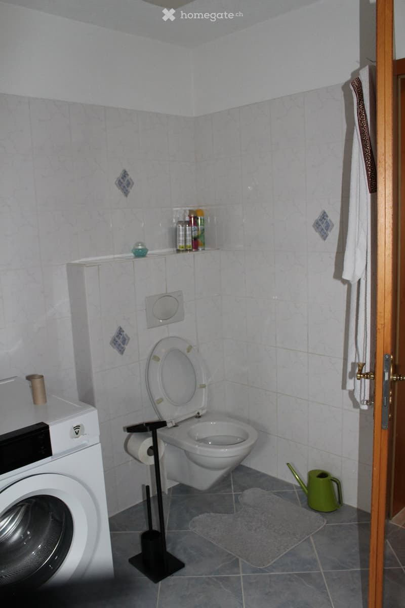 Bathroom with toilet, washing machine, towel, and a watering can