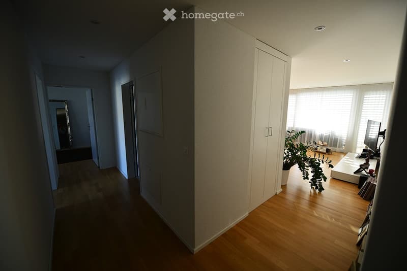 A modern living room with wooden flooring, large windows with blinds, a white table, a screen, and a potted plant.