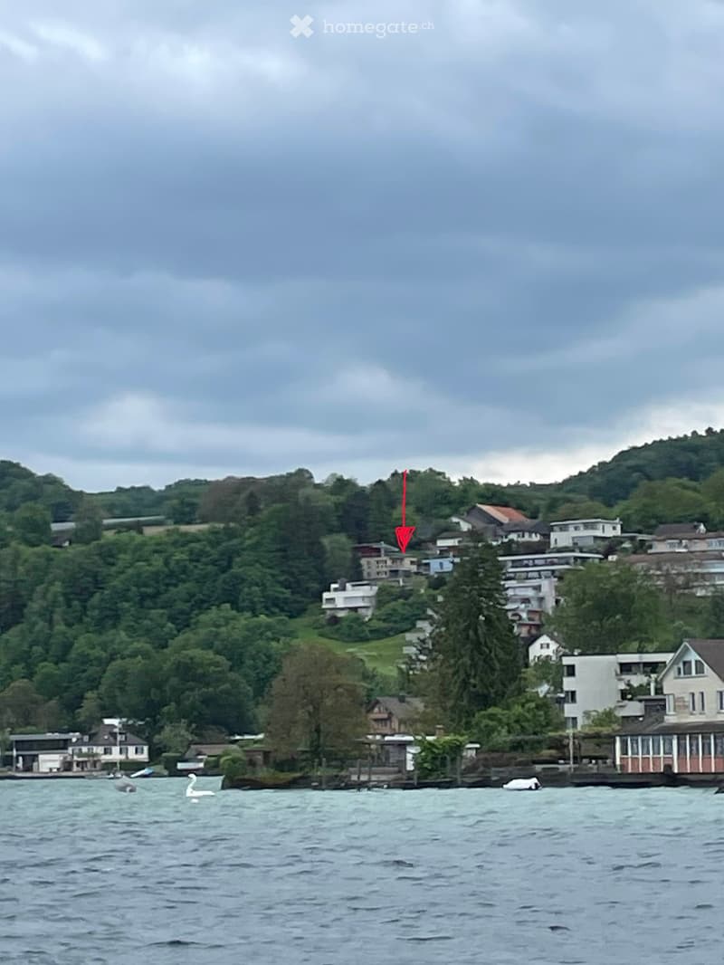A scenic lakeside view with houses on a hillside, boats on the water, and a swan swimming nearby.