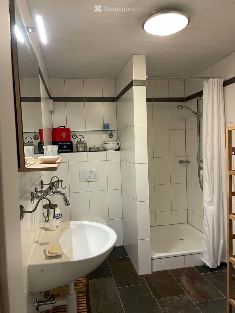 Modern bathroom with a white sink, bathtub, and a large mirror. The sink has a modern faucet and a soap dispenser. A wooden shelf holds various items, including a teapot and a bowl. The bathtub is enclosed by a white curtain.