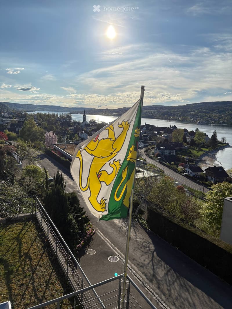 Balcony overlooking a town with a river, flagpole with a flag, metal railing, and greenery.