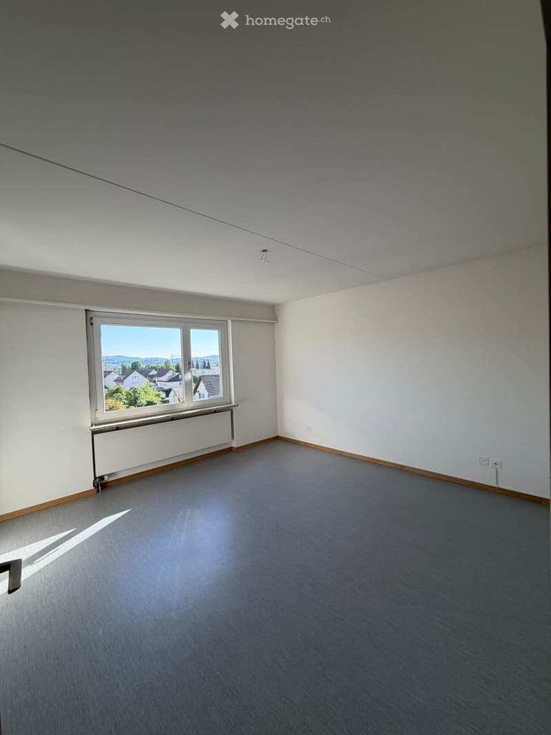 Empty room with white walls, gray floor, large window, and a radiator.