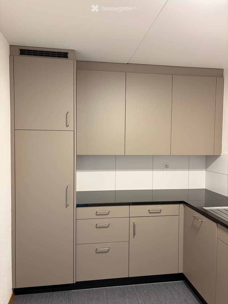 Modern kitchen with light-colored cabinets, stainless steel handles, and a black countertop.