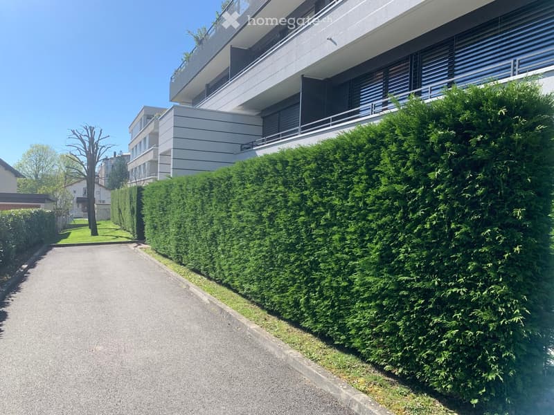 A hedge is on the side of the road, with a building behind it.