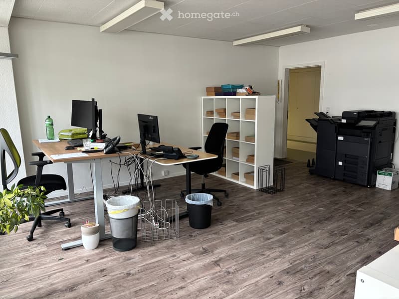 Office space with wooden flooring, two desks, chairs, multiple computer screens, keyboards, a printer, shelves with boxes, and a small plant.