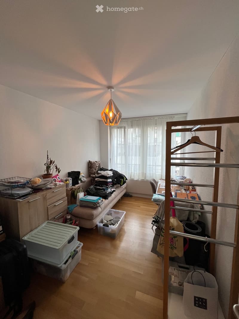 A well-lit room with wooden flooring, a hanging lamp, a sofa with folded clothes, a small table with a plant, and storage boxes.