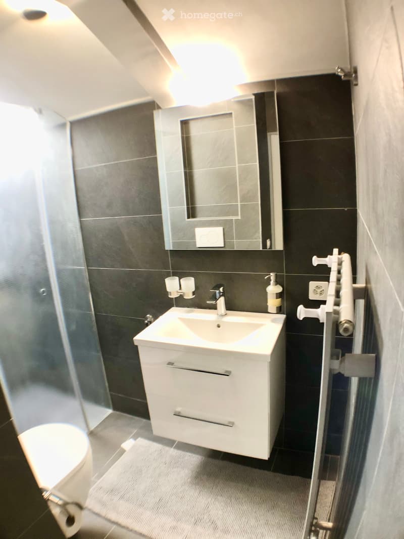 Exklusives 8.5-Zimmer-Haus in Bern mit Garten, Garage, Klima und Alpenblick (8)