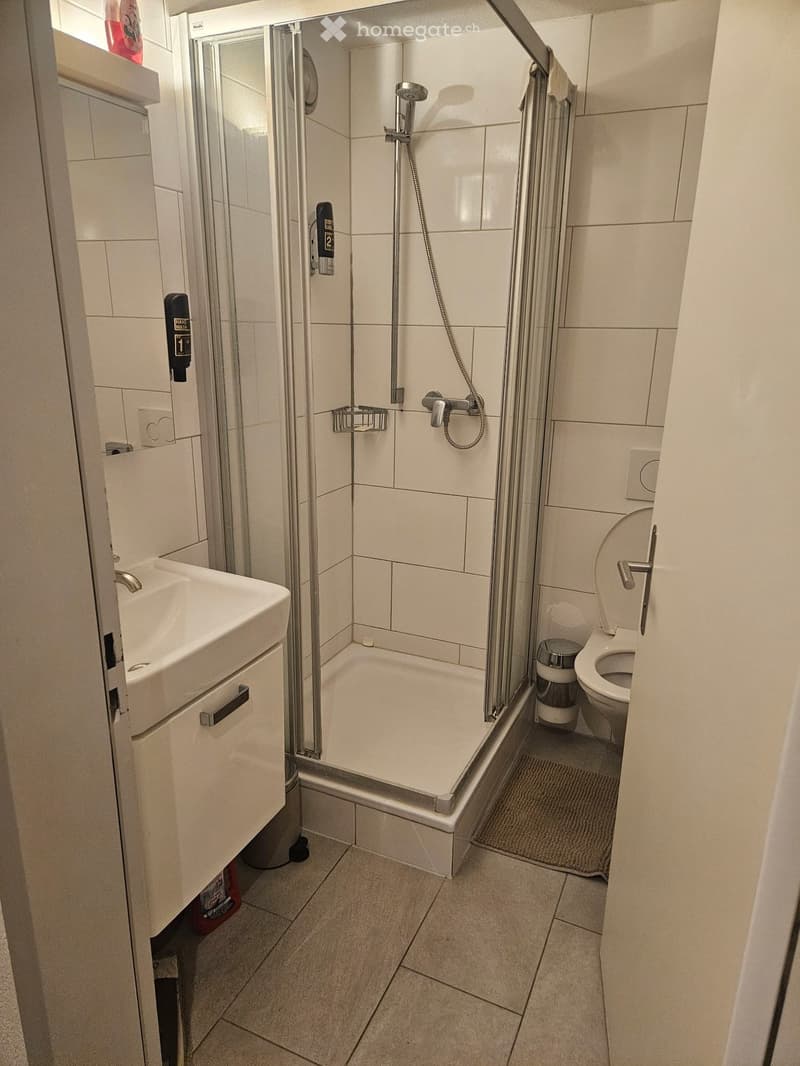 Modern bathroom with a white tiled shower stall, a sink with a cabinet, and a toilet. The shower features a handheld showerhead and a fixed showerhead, with a glass door and a small shelf inside.