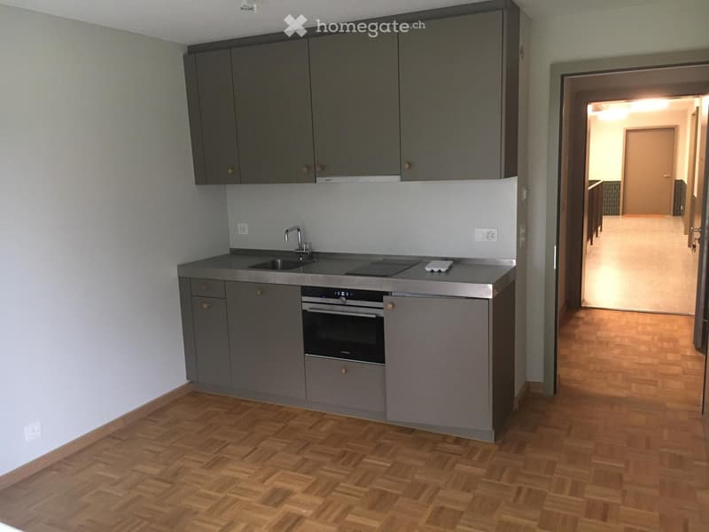 Modern kitchen with grey cabinets, a sink, a faucet, and an oven. The floor is made of light wooden parquet.