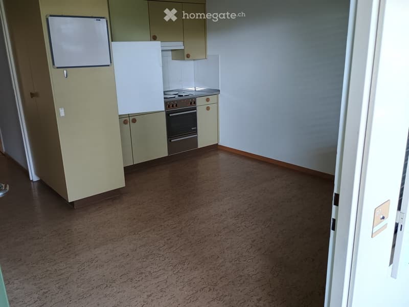 Empty kitchen with light green cabinets, white appliances, and a dark brown floor. No furniture or items present.