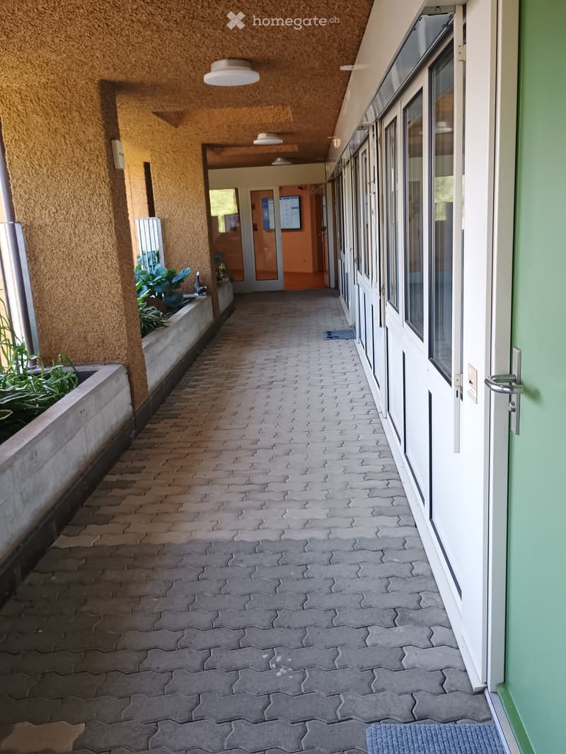 A long, narrow hallway with a patterned tile floor, white ceiling lights, and green walls. There are windows on the right side and a small plant on the left side.