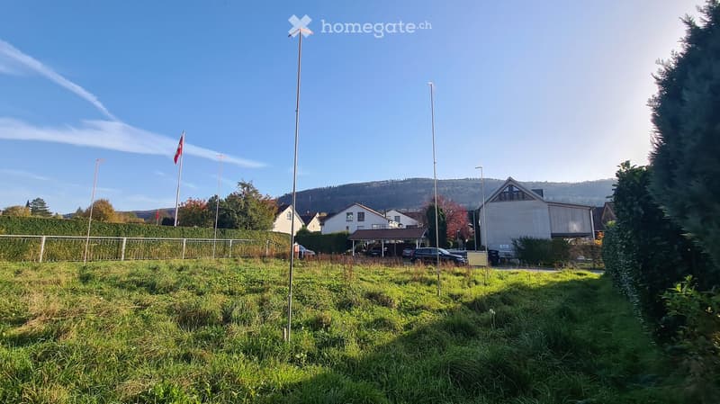 open grassy land, trees, several house in the background, fence and streetlight