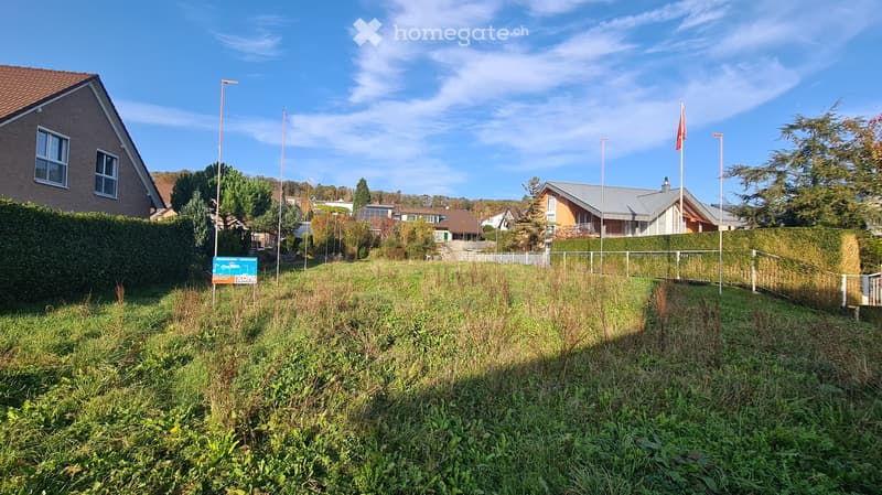 Empty field with sign board, green bushes, flag, trees, surrounding houses