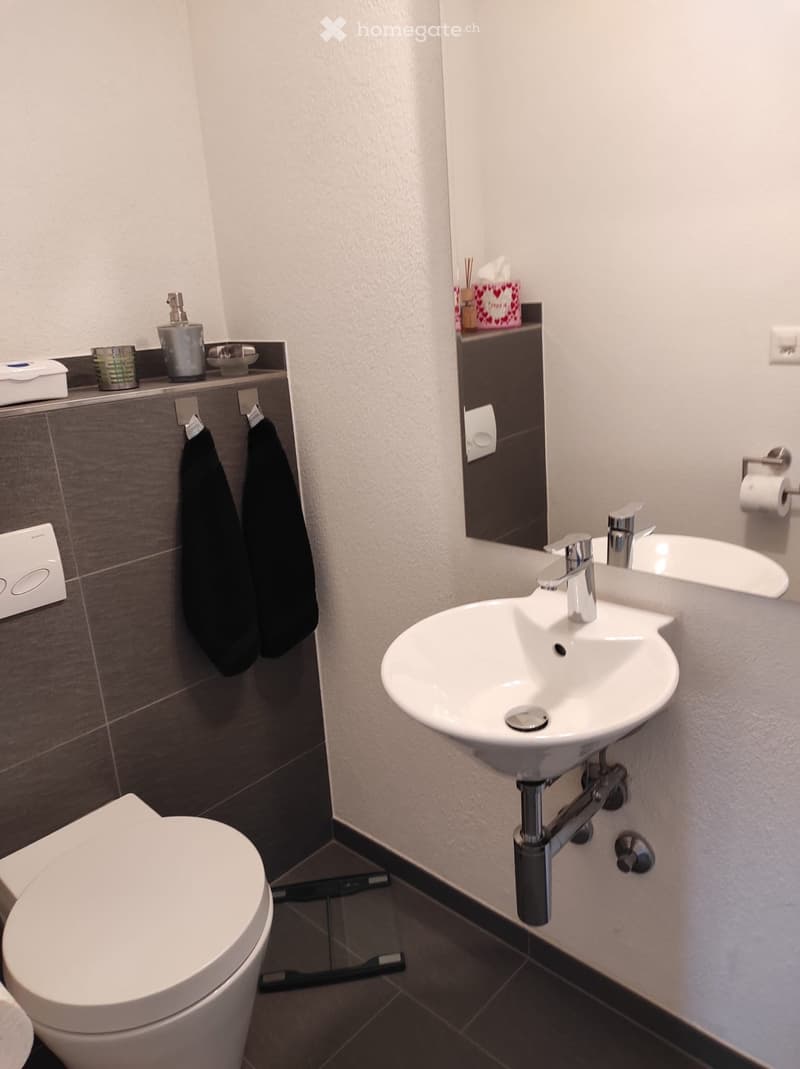 Modern bathroom with a white toilet, a white sink with a chrome faucet, a mirror above the sink, and a towel hanging on a rack. The walls are tiled in a combination of light and dark tones, and there is a small shelf with various toiletries.