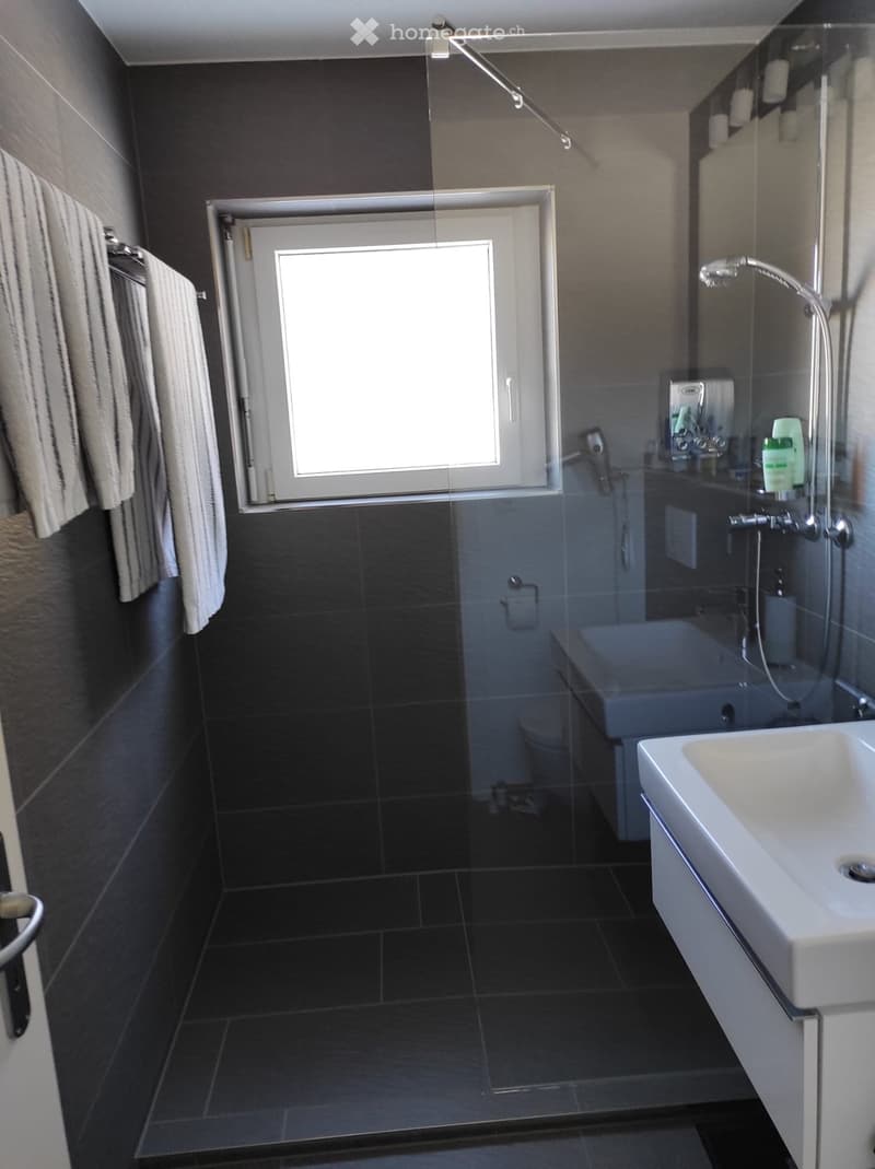 Modern bathroom with dark tiles, a glass-enclosed shower, a white sink, and a towel rack with towels.