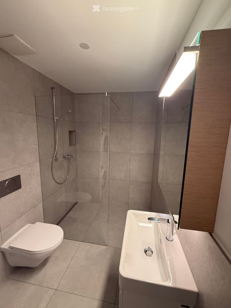 Modern bathroom with a toilet, sink, and glass-enclosed shower area. Features include a sleek faucet, a built-in mirror, and recessed lighting.