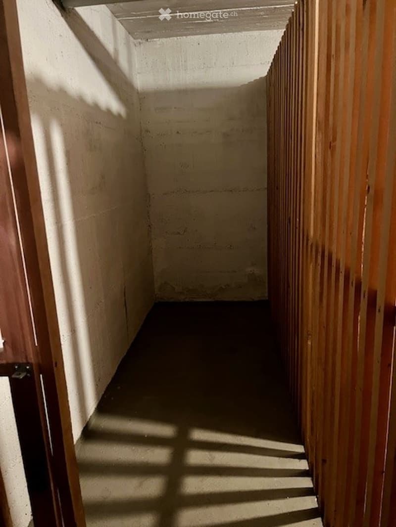 A narrow, dimly lit hallway with concrete walls and a wooden door on the left. Sunlight streams in from the far end, casting shadows on the floor.