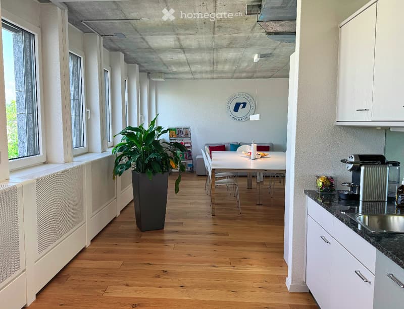 Open-plan space with a kitchen area on the right, a dining table and chairs in the center, and a living area with a sofa on the left. The floor is wooden, and there is a large plant in a pot near the windows.