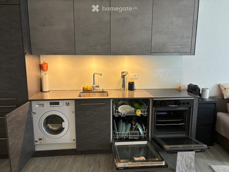 Modern kitchen with grey cabinets, stainless steel appliances, and a warm backsplash. Features a sink, dishwasher, oven, washing machine, and various small items on the counter.